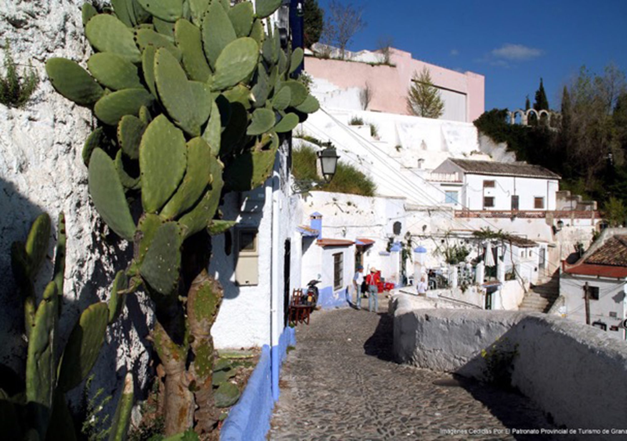 visitas a Sacromonte Cultura y Flamenco en Granada
